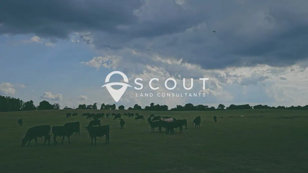 Scout land consultants